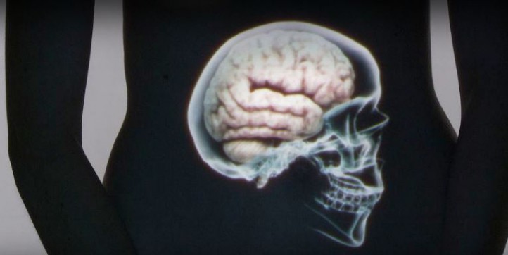 ARTE Le ventre notre 2eme cerveau